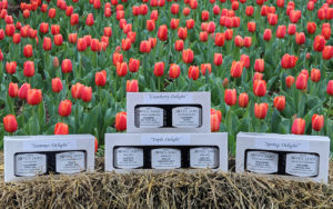 Mrs Jones Jams Gift Boxes for Spring and Summer